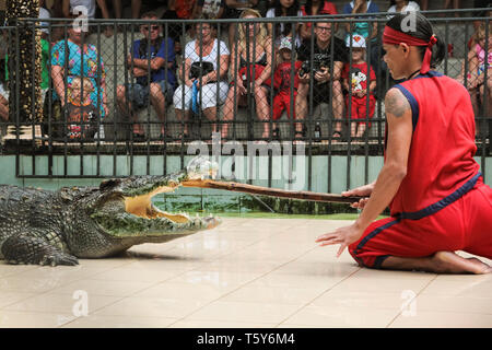 PHUKET, THAILAND - DECEMBER 11, 2010: Crocodile show in Phuket island zoo in Thailand Stock Photo