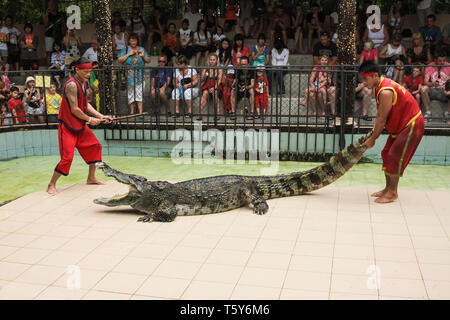 PHUKET, THAILAND - DECEMBER 11, 2010: Crocodile show in Phuket island zoo in Thailand Stock Photo
