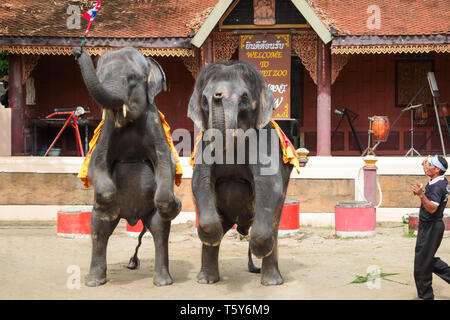 PHUKET, THAILAND - DECEMBER 11, 2010: Elephant show in Phuket island zoo in Thailand Stock Photo