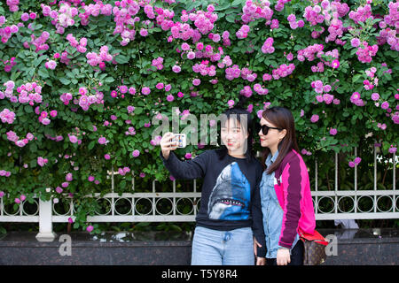 Nanjing, China's Jiangsu Province. 27th Apr, 2019. Two women take selfies with blooming flowers in Nanjing, east China's Jiangsu Province, April 27, 2019. Credit: Su Yang/Xinhua/Alamy Live News Stock Photo
