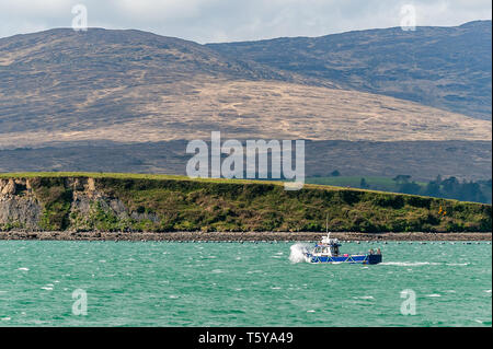 Bantry, West Cork, Ireland. 27th Apr, 2019. The Bantry to Whiddy Island ferry makes the crossing in choppy seas the day after Storm Hannah. Winds are significant today, reaching 40kmh with strong gusts from time to time. Credit: Andy Gibson/Alamy Live News. Stock Photo