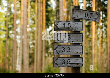 wooden signs of directions and distances in the forest Stock Photo