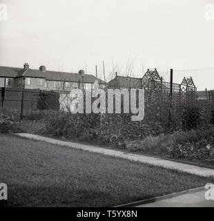1940s, historical, back garden of a house in the suburbs of Ruislip, West London, England, UK showing a neat little lawn and a vegetable area. Stock Photo