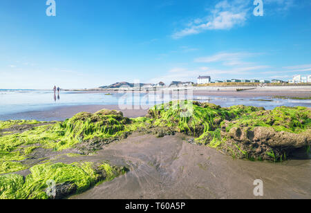 Mossy rocks at low tide of the scenic beach in Tywyn, Mid Wales, United Kingdom Stock Photo