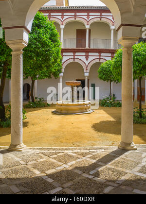 Ecija, Spain - April 21th, 2019: Palace of Benameji, dating from the 18th century, Ecija, Spain Stock Photo