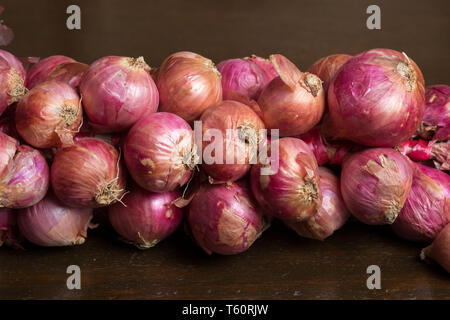 SHALLOT definition in American English