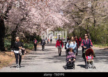 People Enjoying a Spring Day on the Bridle Path in Central Park, NYC, USA Stock Photo