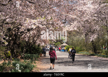 New York City Residents and Tourists Enjoy Central Park in Springtime, USA Stock Photo