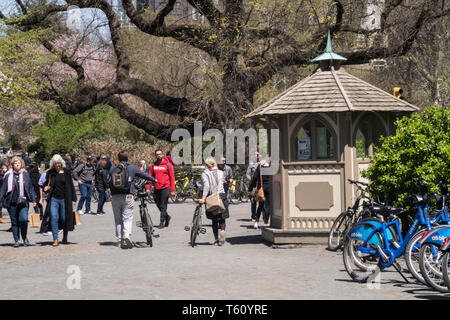 New York City Residents and Tourists Enjoy Central Park in Springtime, USA Stock Photo