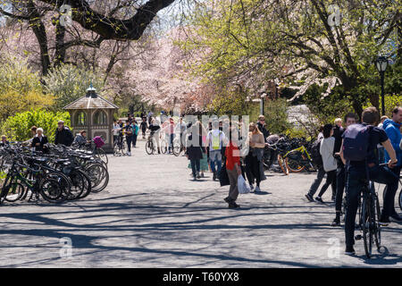 People Enjoying a Spring Day on the Bridle Path in Central Park, NYC, USA Stock Photo