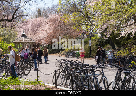 People Enjoying a Spring Day on the Bridle Path in Central Park, NYC, USA Stock Photo