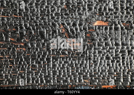 Black grunge background. Burned wood texture. Details on the surface of charcoal background. Stock Photo