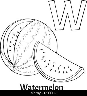 Alphabet letter W, coloring page. Watermelon Stock Vector