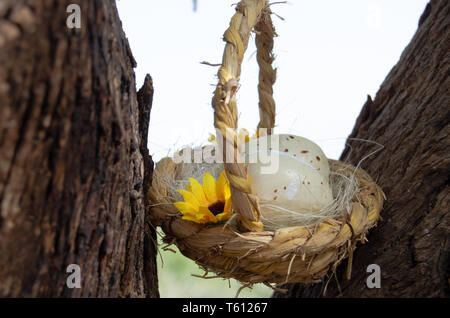 Two quil eggs in basket between tree bark - easter concept Stock Photo
