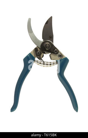 Garden pruner for cutting branches isolated on white background Stock Photo