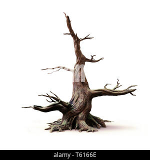 big old dead tree, isolated with shadow on white background Stock Photo