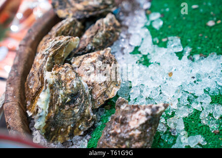 fresh Oysters in box and ice ready to cook at the fish market, Japan. Stock Photo