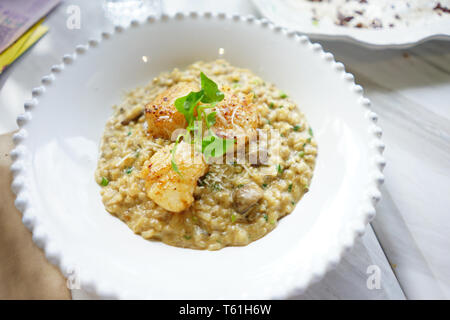 Scallop mush in white disk and ready to serve. Stock Photo