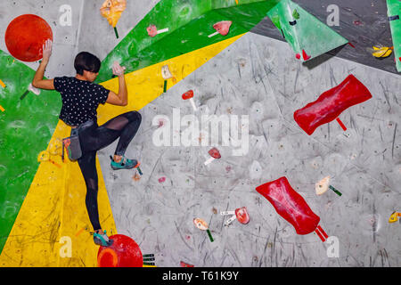 Rock climber woman hanging on a bouldering climbing wall, inside on colored hooks Stock Photo