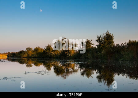 Boating on the Hortobágy River at the Great Hungarian Plain Stock Photo
