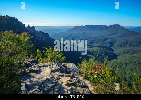 wollumai lookout, blue mountains national park, katoomba, new south wales, australia Stock Photo