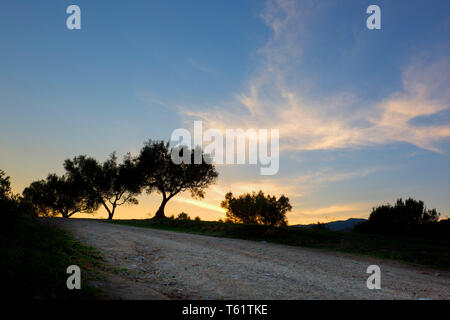 Evening sets in after sunset with a warm glow remaining in the sky near the horizon  over a rough country road near Chalkida, Greece,. Stock Photo