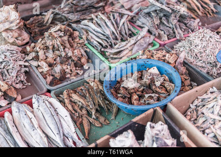 A display of different varieties of dried fish in the midday sun, covered in flies, at the Negombo Fish Market in Sri Lanka.