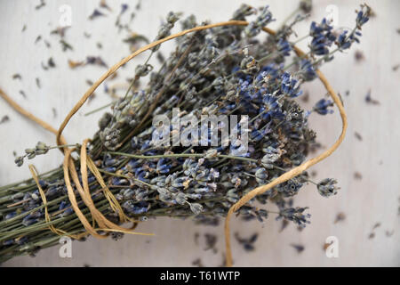 Dried lavender on wooden table. Traditional lavender flower drying. Stock Photo