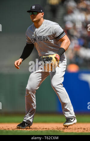 New York Yankees' Luke Voit takes batting practice before a spring training  baseball game against the Detroit Tigers, Wednesday, Feb. 27, 2019, in  Lakeland, Fla. (AP Photo/Lynne Sladky Stock Photo - Alamy