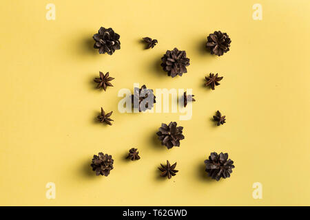 spice store. top view photo. pine cones and anise stars in square-shaped Stock Photo