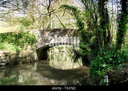 River Lemon Walks Stock Photo