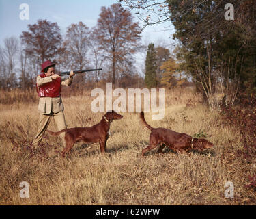 1960s WOMAN UPLAND GAME BIRD HUNTER WITH DOUBLE BARREL SHOTGUN SHOOTING OVER TWO IRISH SETTER DOGS ONE POINTING OTHER HONORING - kg2773 HAR001 HARS SATISFACTION FEMALES RURAL COPY SPACE FULL-LENGTH LADIES PERSONS TRADITIONAL HUNTER GOALS HAPPINESS MAMMALS ADVENTURE LEISURE STRENGTH CANINES EXCITEMENT RECREATION SETTER STEADY POOCH CONNECTION CONCEPTUAL STYLISH SUNLIT UPLAND CANINE FIREARM FIREARMS HONORING HUNTRESS MAMMAL MID-ADULT MID-ADULT WOMAN RELAXATION SIDE BY SIDE CAUCASIAN ETHNICITY CRISP DOUBLE BARREL GAME BIRD HAR001 OLD FASHIONED Stock Photo