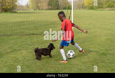 Hampshire, England, UK. April 2019. A young football player defending the goal during a traning session with his pet dog in a public park. Stock Photo