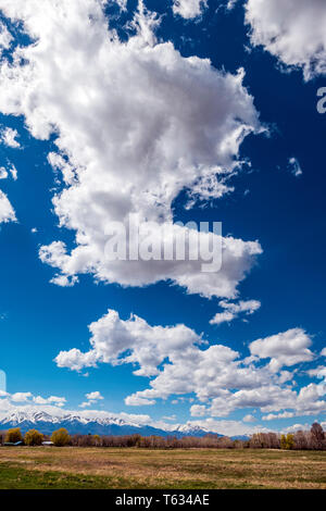 Beautiful clouds and sky over ranch pastures; snow capped Rocky Mountains beyond; central Colorado; USA Stock Photo