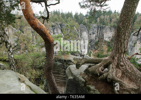 The area in Czech republic, called Prachovské skály (Prachovské rocks). The attraction and sight for tourists. Great for hiking or climbing. Stock Photo