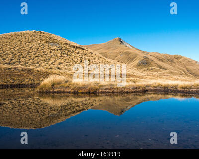 Above the treeline, tussock country reflection in alpine tarn, Mt Burns Track, Fiordland National Park, Southland, New Zealand Stock Photo