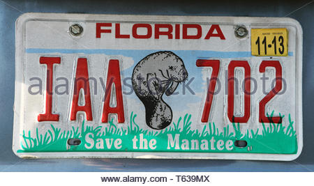 Car number plate, Save the Manatee number plate Miami South Beach Stock