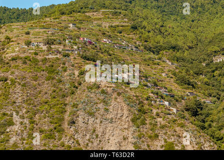 Farming terraces at Parco Naturale Cinque Terre near Portovenere, Liguria, North West Italy Stock Photo