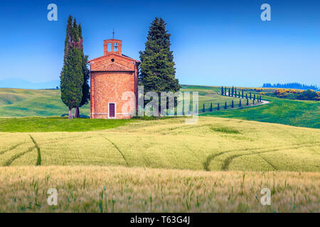 Well known pilgrimage and touristic place in Tuscany,  cozy Vitaleta chapel in summer grain fields, Pienza, Tuscany, Italy, Europe Stock Photo