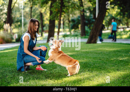 Portrait of woman with dog Welsh Corgi Pembroke in dog park Stock Photo