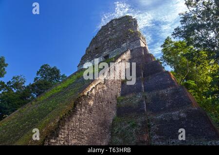 Side View of Ancient Mayan Pyramid Ruins, known as Tikal Temple V (Temple Five or Temple 5), in World Famous National Park Guatemala Stock Photo