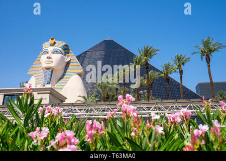 Luxor Hotel & Casino in Las Vegas Strip, Nevada, USA Stock Photo