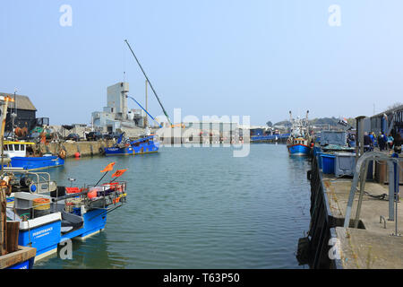 A view of the busy fishing Harbour at Whitstable Stock Photo