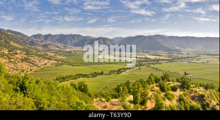 Panorama of the Colchagua vinyards in the central valley ,wine growing region of Chile. Stock Photo