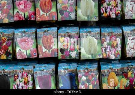 Selling Tulips At Amsterdam Flower Market The Netherlands 2019 Stock Photo