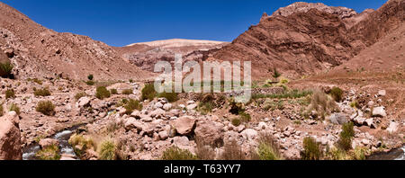 Surprisingly  snow melting on the high volcanoes supports rivers in the Atacama desert giving  lush pasture in  valleys to allow pastoral agriculture. Stock Photo