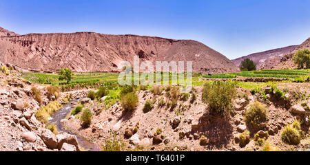 Fertile river valley used for agriculture in the Atacama desrt of Northern Chile. Stock Photo