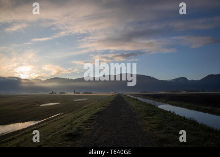 Farmland lit up beautifully during golden hour Stock Photo