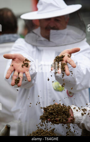 Beekeepers scatter dead bees, activists protest versus the merger of Bayer and Monsanto, versus glyphosate, farmers versus seed patents and arable poisons, beekeepers versus bee deaths, demonstrations at the Bonn World Converence Center, Annual General Meeting of Bayer AG in Bonn, 26.04.2019. | usage worldwide Stock Photo