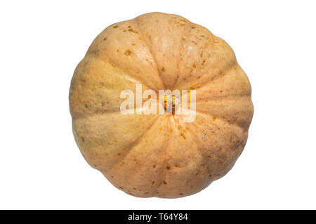 Ukrainian organic pumpkin isolated on a white background. The pumpkin is after 6 months of storage. Stock Photo